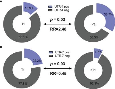 Systematic Evaluation of HLA-G 3’Untranslated Region Variants in Locally Advanced, Non-Metastatic Breast Cancer Patients: UTR-1, 2 or UTR-4 are Predictors for Therapy and Disease Outcome